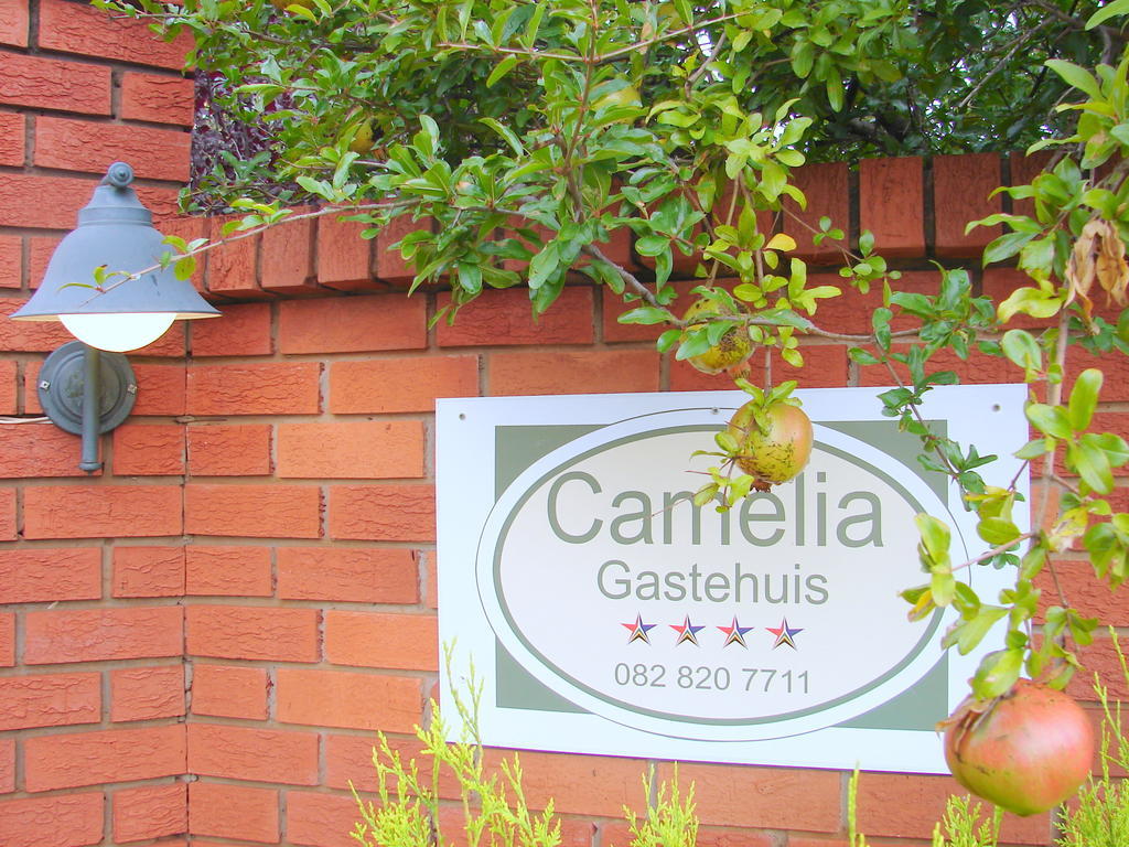 Camelia Guest House Bloemfontein Eksteriør bilde